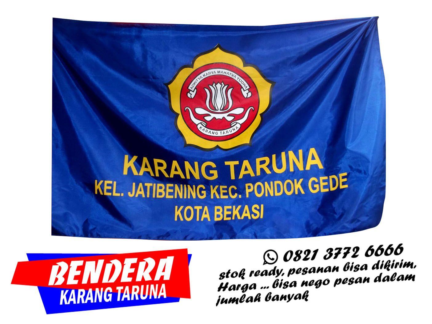 Detail Banner Karang Taruna Nomer 9