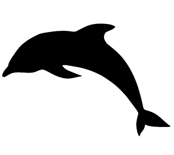 Detail Delfin Ohne Flosse Nomer 2
