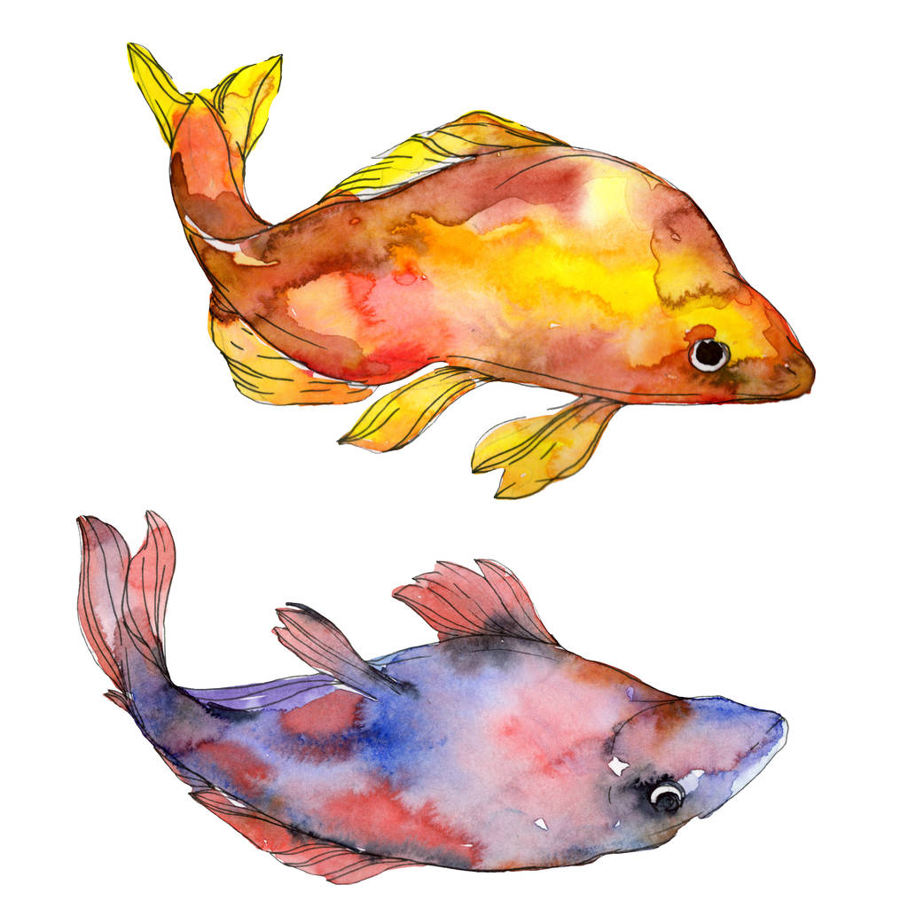 Detail Fisch Bilder Gezeichnet Nomer 12