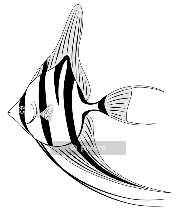 Detail Fisch Bilder Gezeichnet Nomer 17