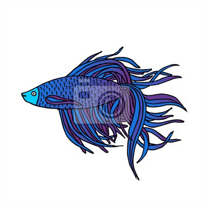 Detail Fisch Bilder Gezeichnet Nomer 18