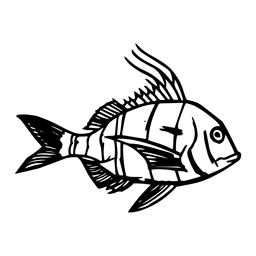 Detail Fisch Bilder Gezeichnet Nomer 20