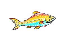 Detail Fisch Bilder Gezeichnet Nomer 23