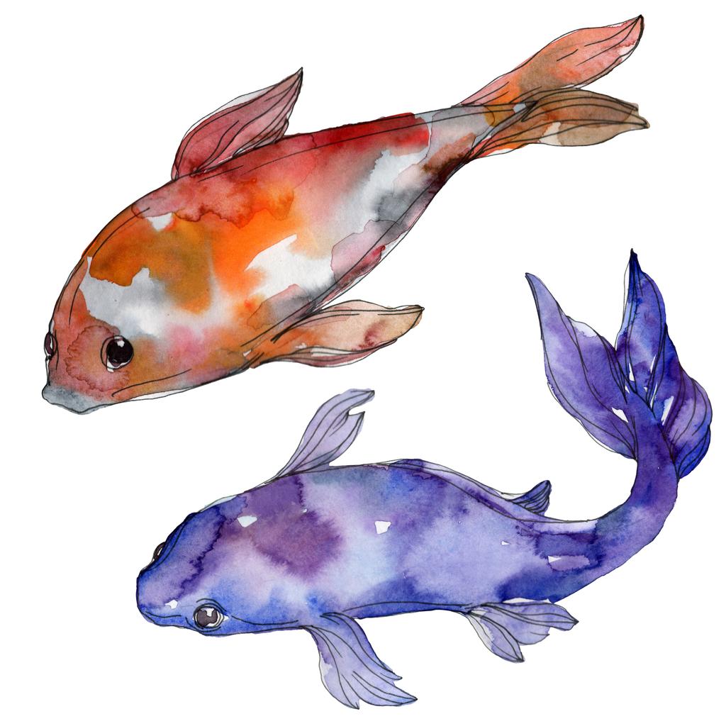 Detail Fisch Bilder Gezeichnet Nomer 24