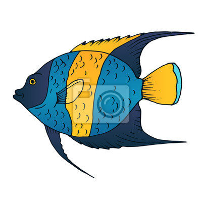 Detail Fisch Bilder Gezeichnet Nomer 4