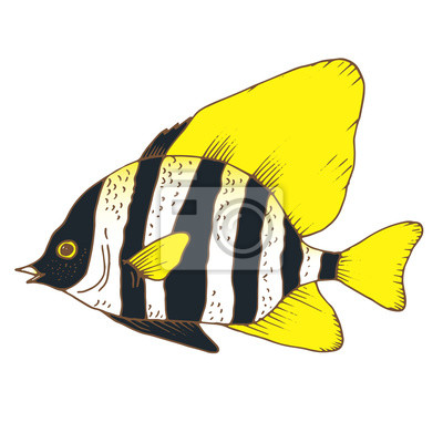 Detail Fisch Bilder Gezeichnet Nomer 5
