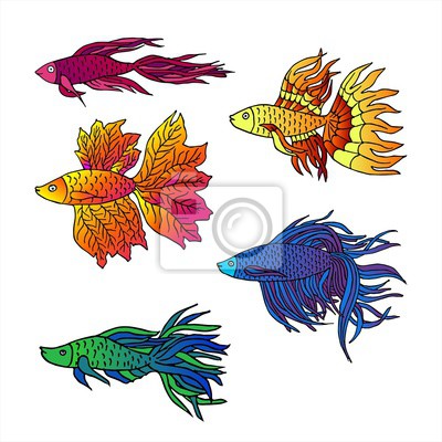 Detail Fisch Bilder Gezeichnet Nomer 8