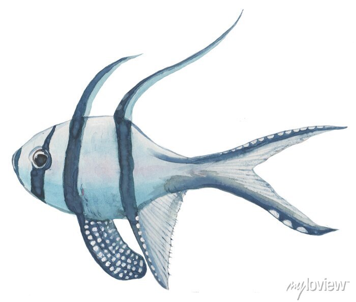 Detail Fisch Bilder Gezeichnet Nomer 9
