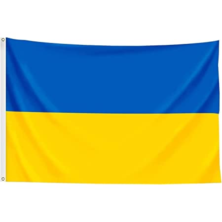 Detail Flagge Ukraine Jpg Nomer 5