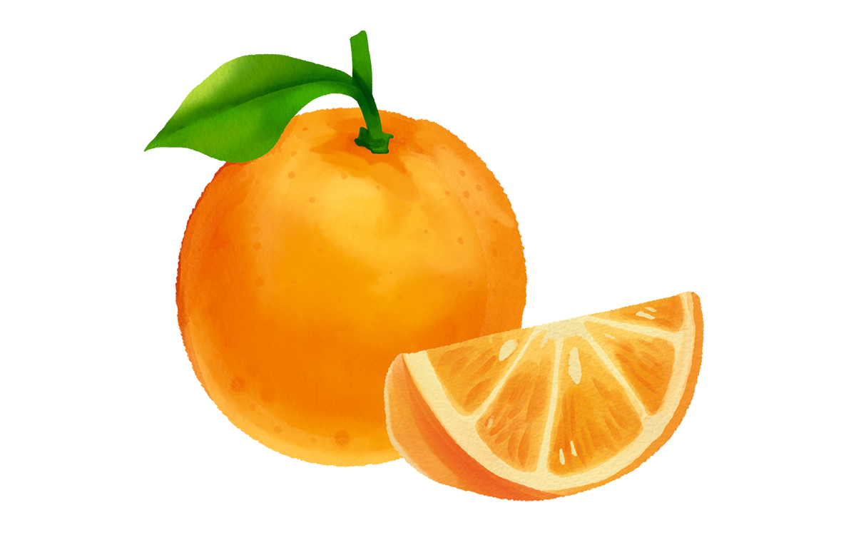 Detail Frucht Farbe Orange Nomer 23