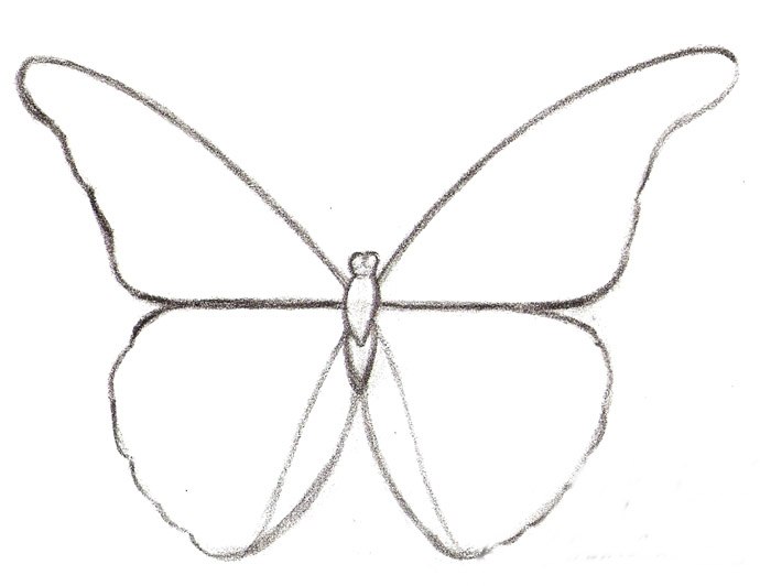 Detail Insekten Zeichnen Nomer 23