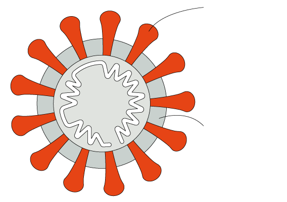 Detail Menschliche Zelle Bild Nomer 21