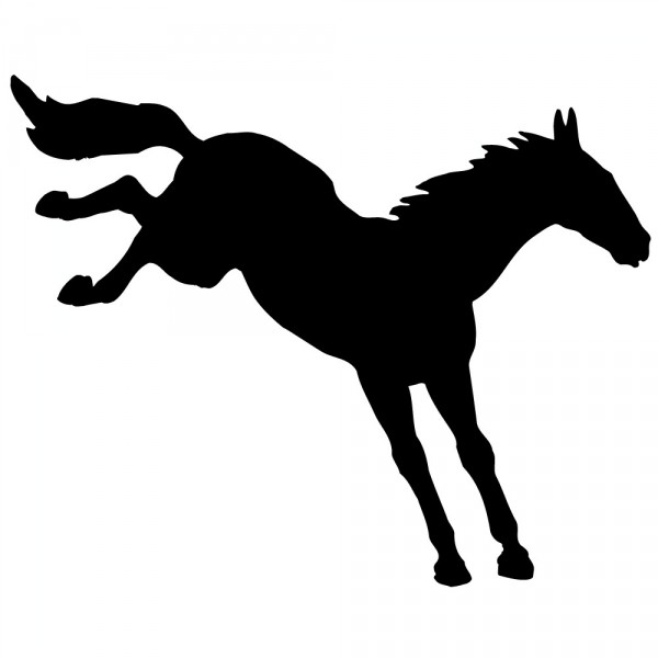 Detail Pferd Zeichen Nomer 20