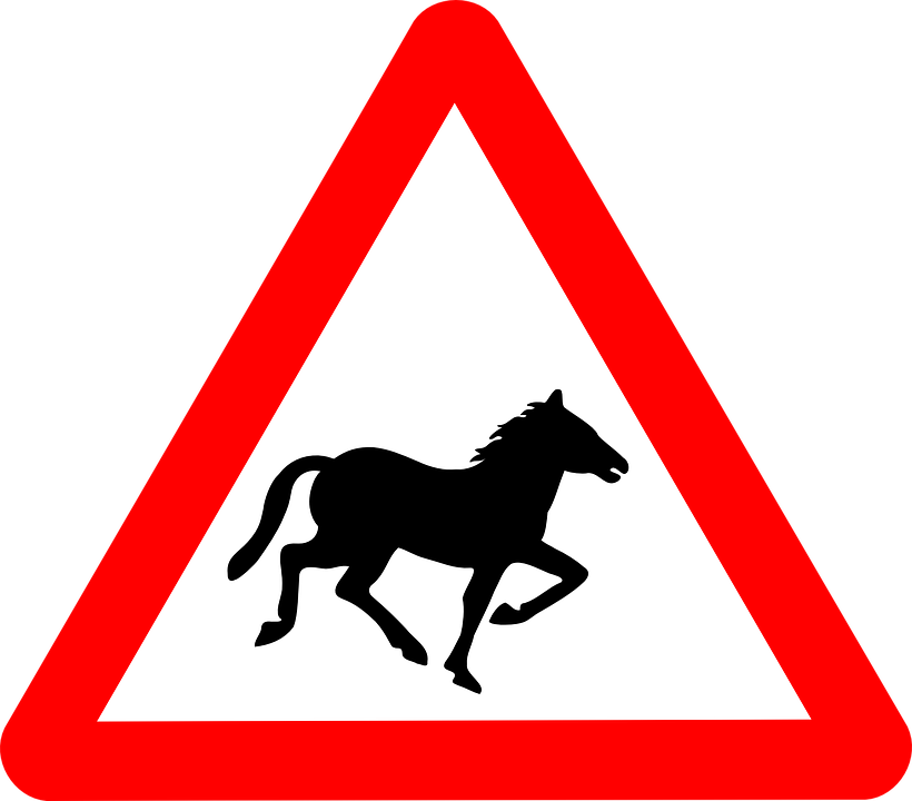 Detail Pferd Zeichen Nomer 21