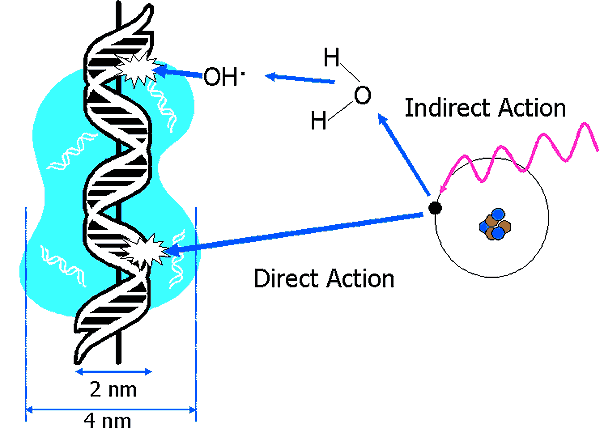 Detail Radiation Dots Nomer 4