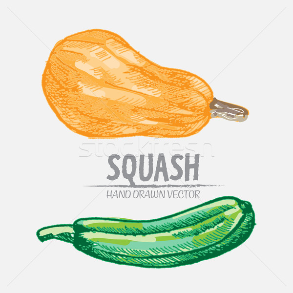 Detail Zucchini Gemalt Nomer 9