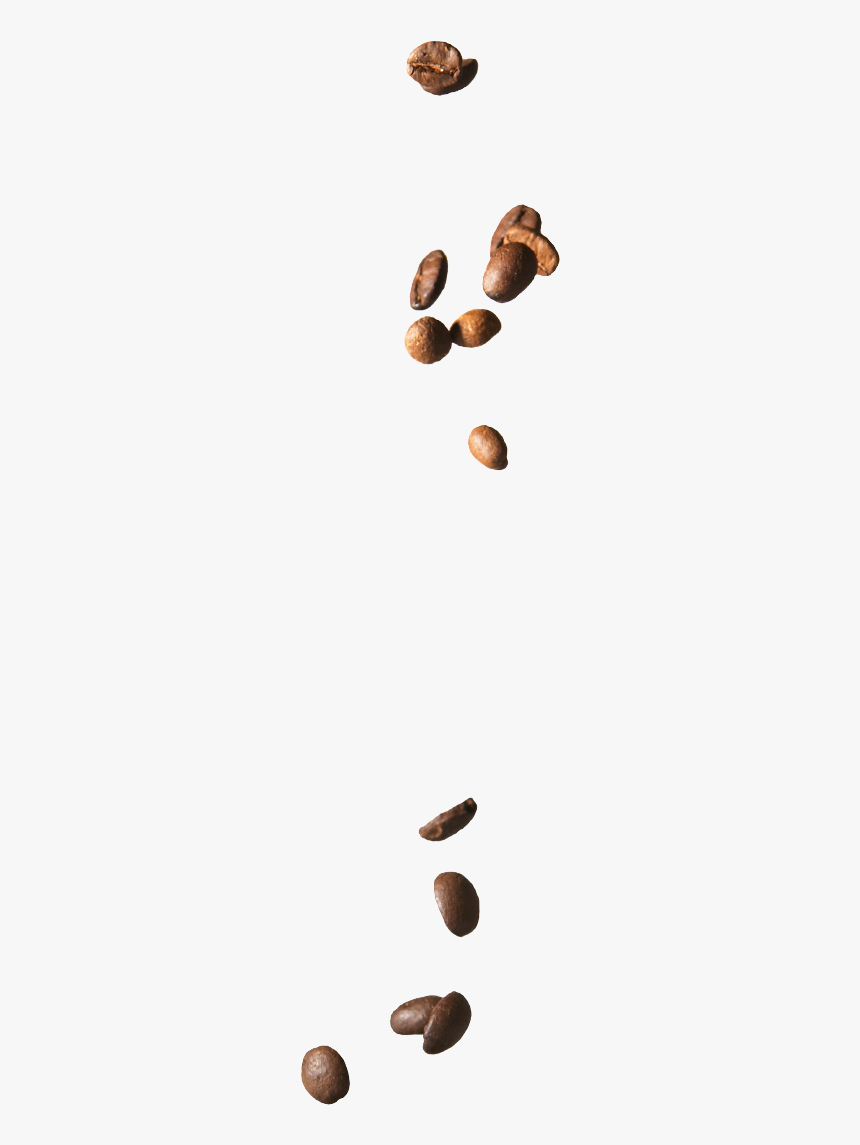 Coffee Beans Falling - KibrisPDR