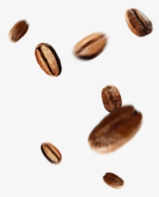 Detail Coffee Beans Falling Nomer 9