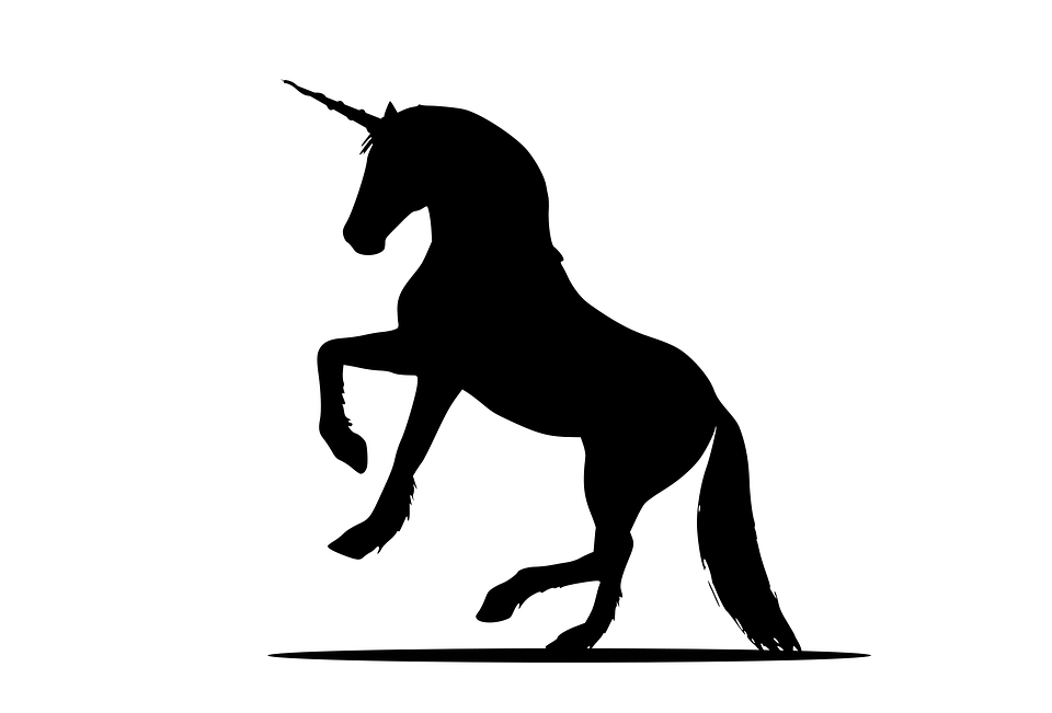 Detail Einhorn Silhouette Einfach Nomer 7