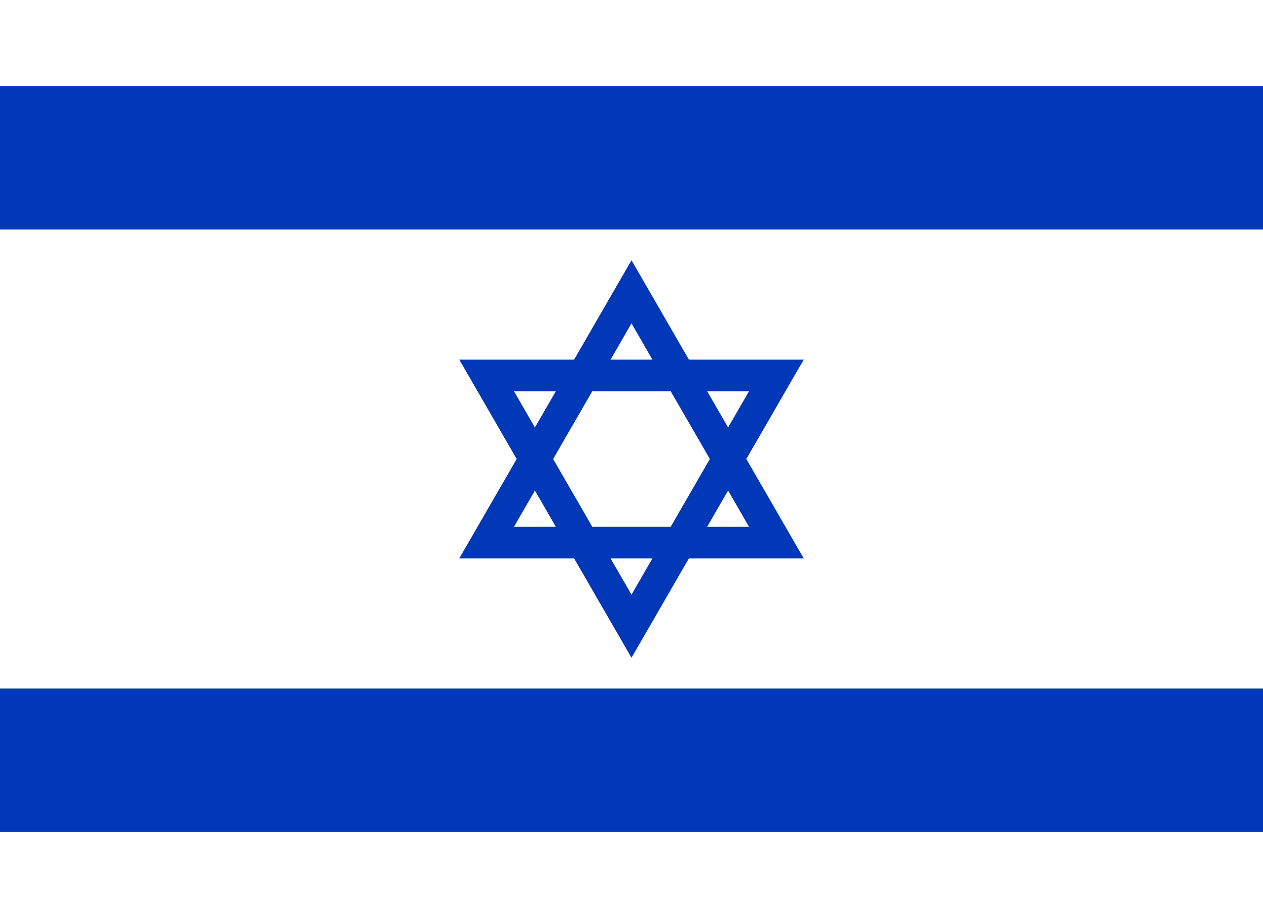 Detail Fahne Israel Nomer 4