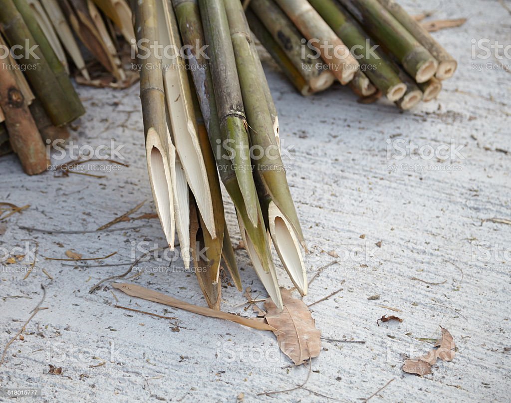 Detail Foto Bambu Runcing Nomer 11