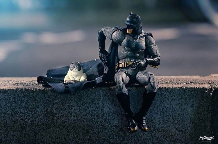 Detail Foto Batman Lucu Nomer 7