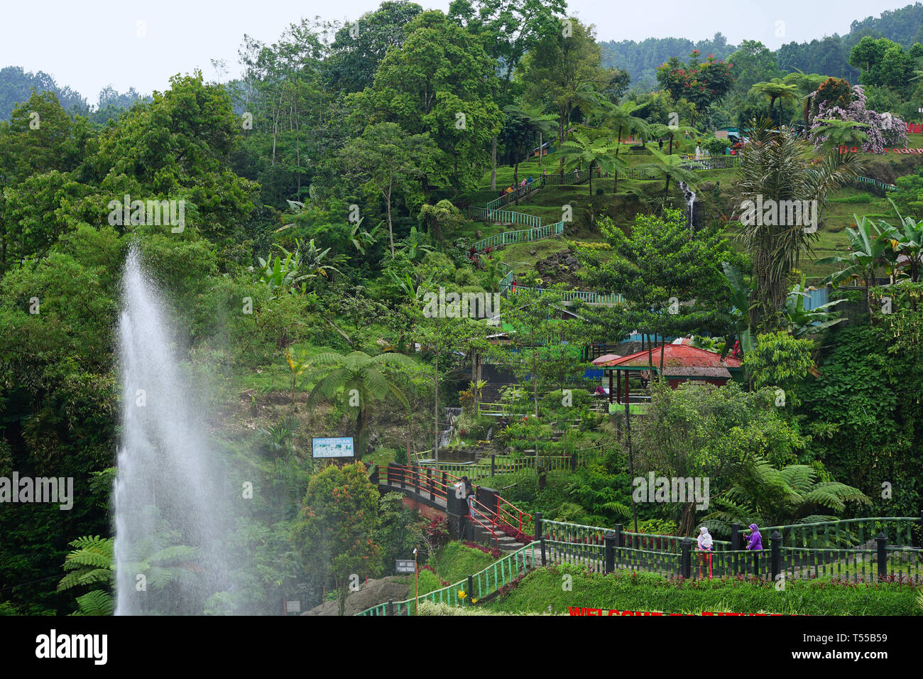 Detail Foto Baturaden Purwokerto Nomer 19