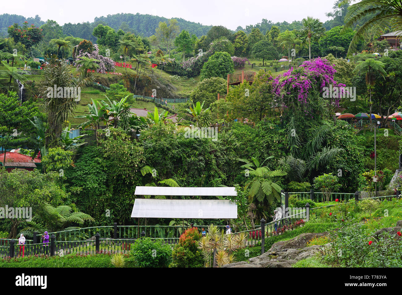 Detail Foto Baturaden Purwokerto Nomer 39