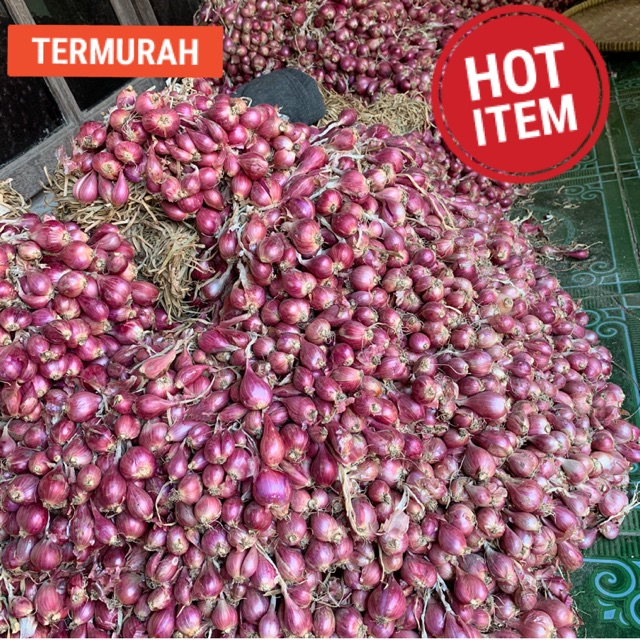 Detail Foto Bawang Merah Brebes Nomer 24