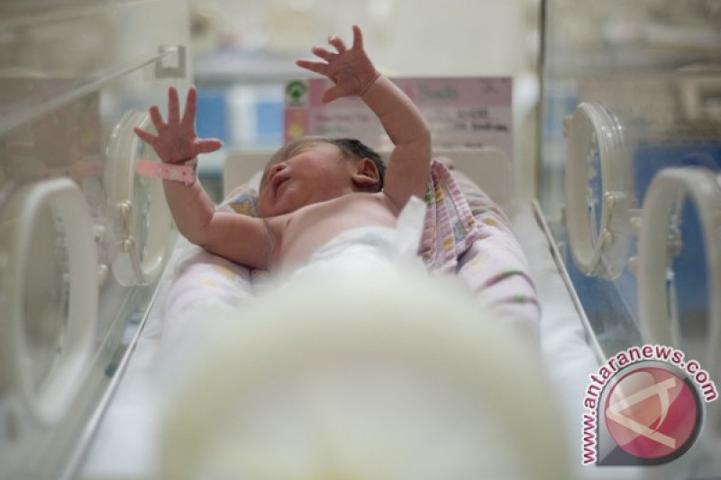 Detail Foto Bayi Baru Lahir Di Rumah Sakit Nomer 17