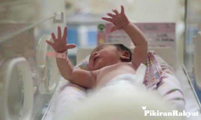 Detail Foto Bayi Baru Lahir Indonesia Nomer 11