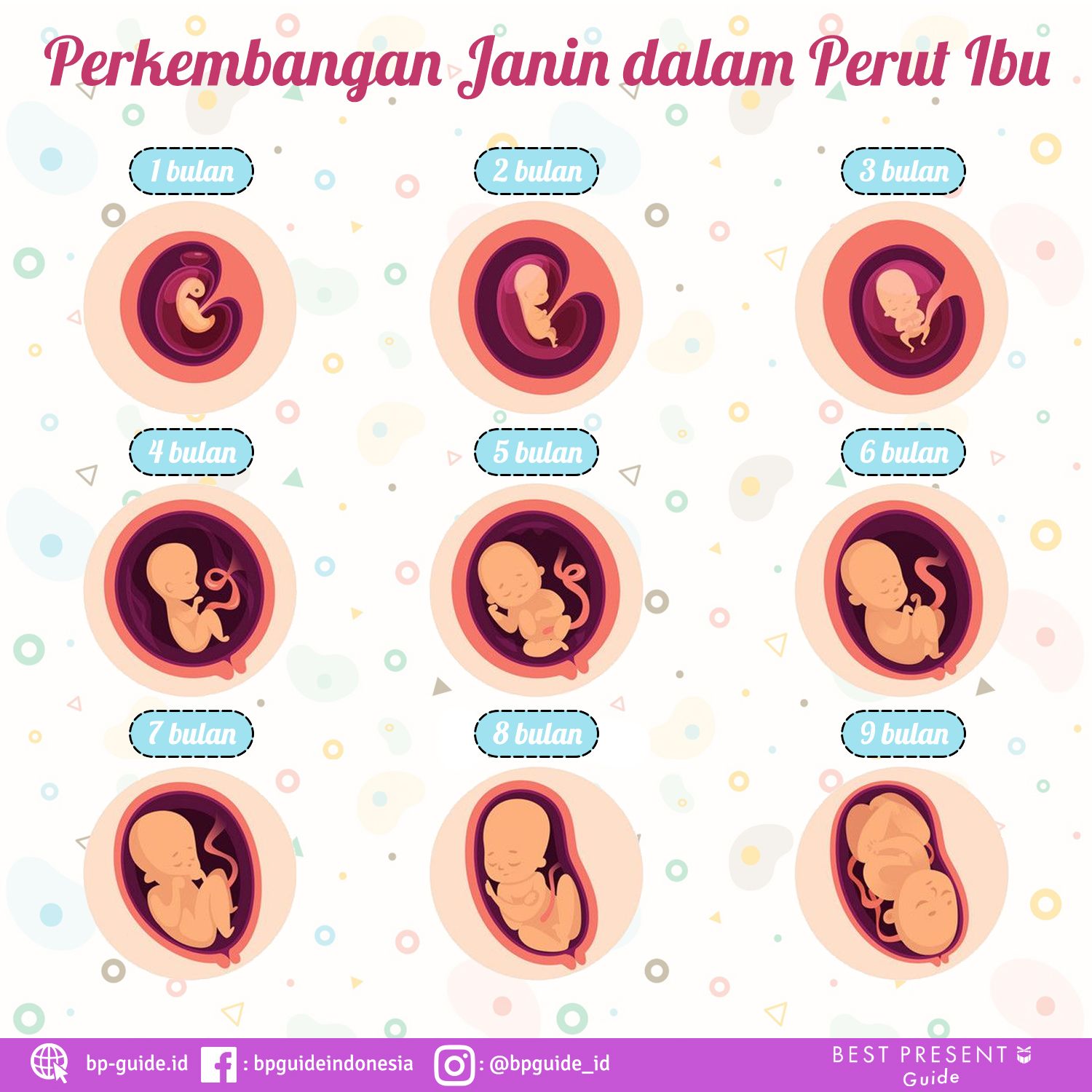 Detail Foto Bayi Dalam Kandungan 4 Bulan Nomer 15