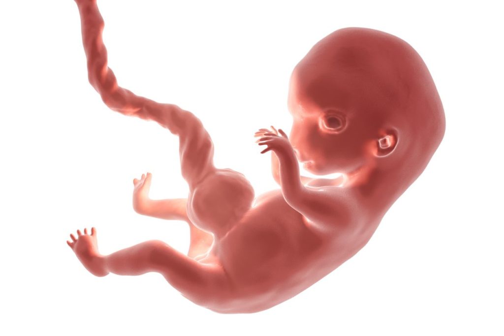 Detail Foto Bayi Dalam Kandungan 4 Bulan Nomer 8