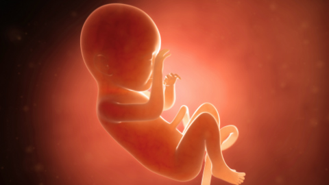 Detail Foto Bayi Dalam Kandungan 7 Bulan Nomer 6