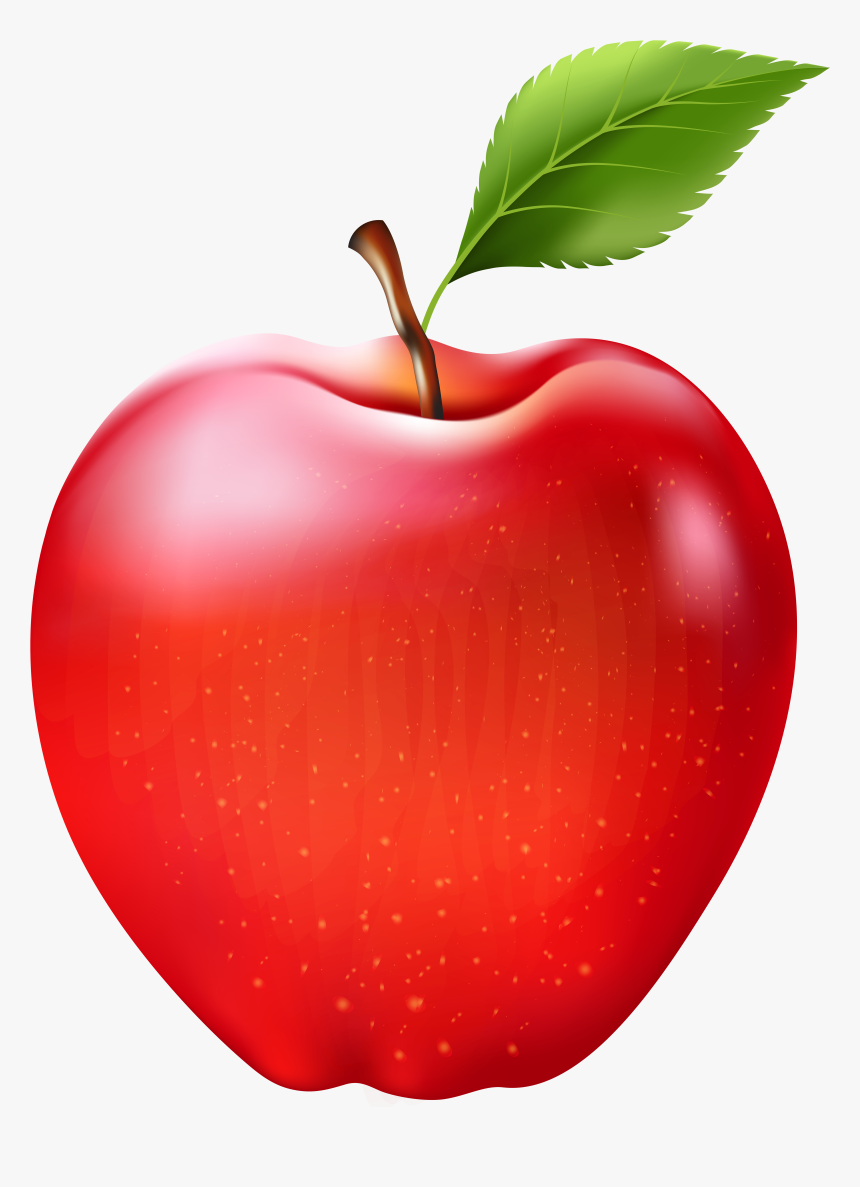 Detail Fruit Png Nomer 13