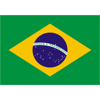 Detail Brasilien Fifa 17 Nomer 15