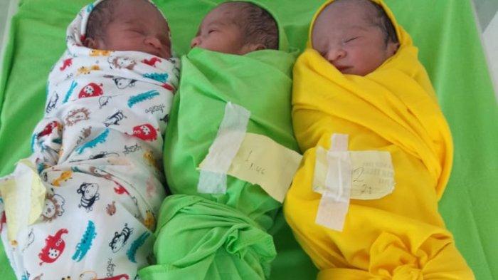 Detail Foto Bayi Kembar Indonesia Nomer 42