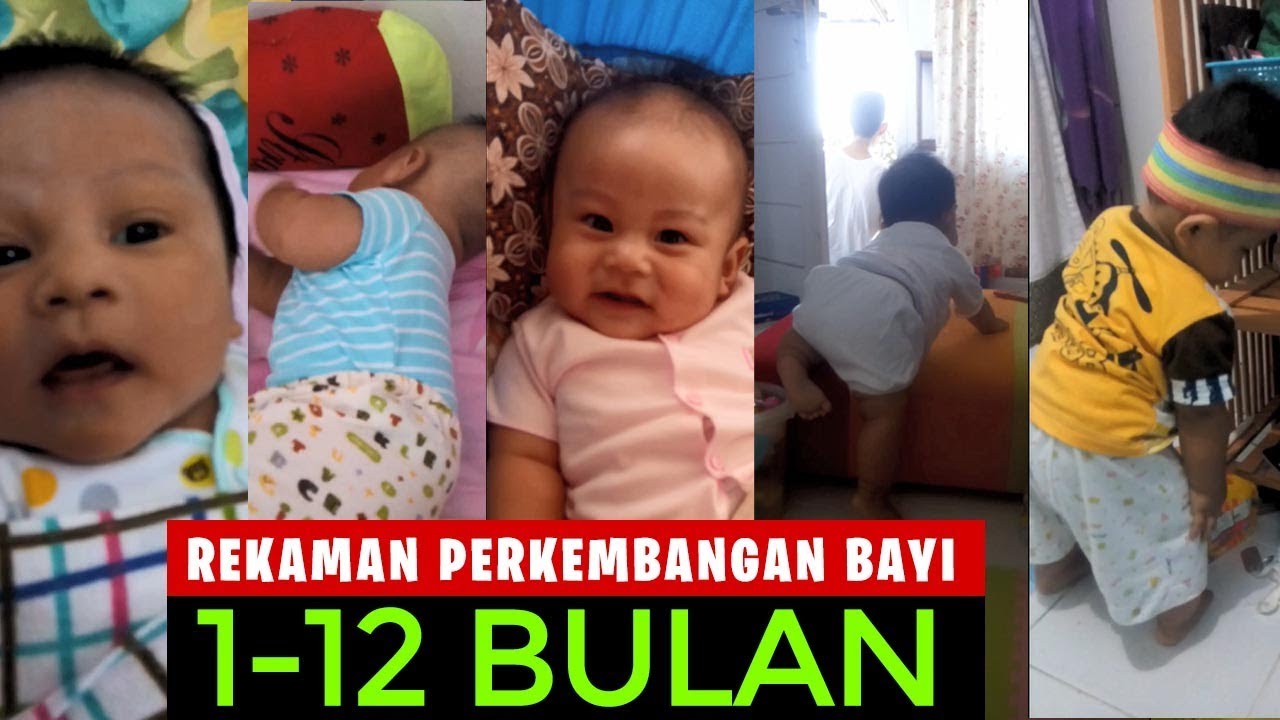 Detail Foto Bayi Umur 1 Bulan Nomer 41