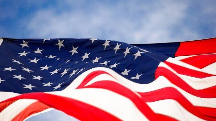 Detail Foto Bendera Amerika Nomer 18