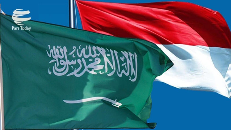 Detail Foto Bendera Arab Saudi Nomer 32