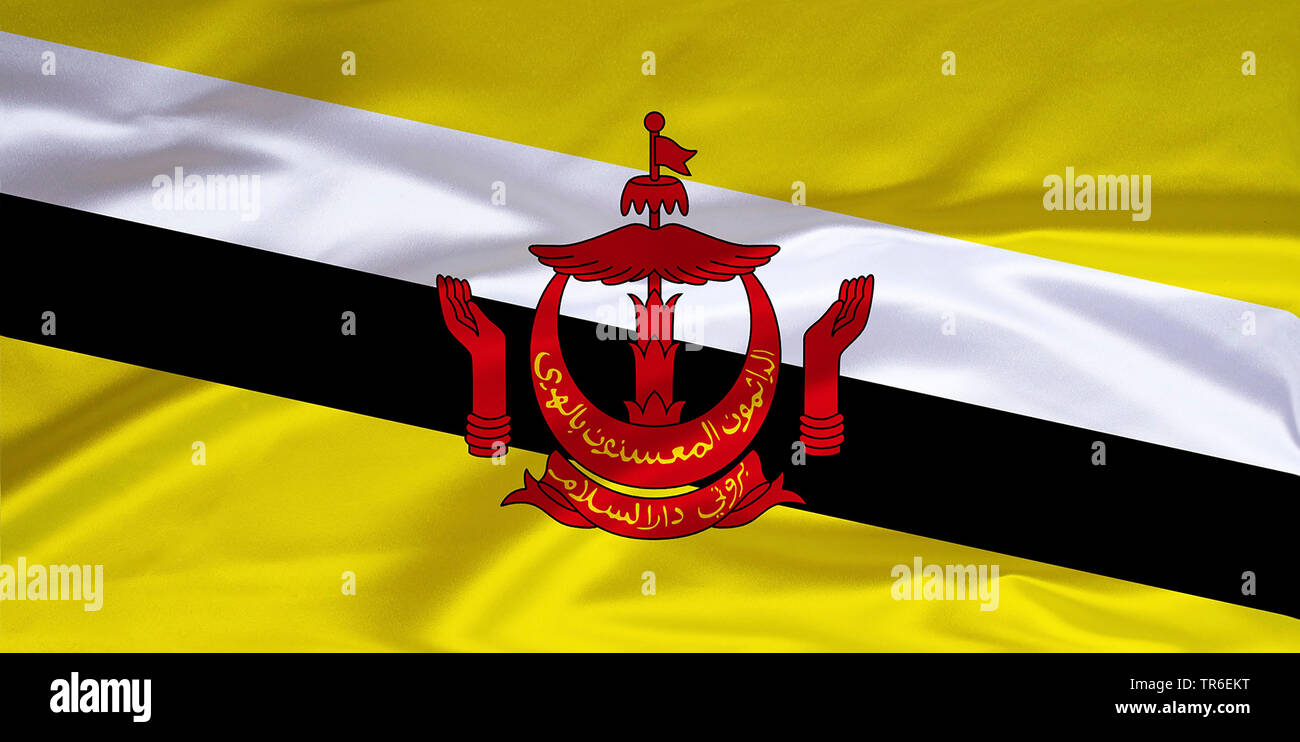 Detail Foto Bendera Brunei Darussalam Nomer 26