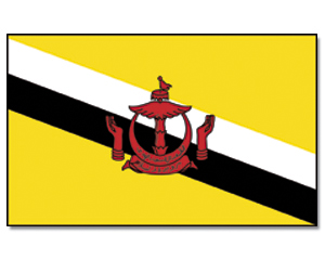 Detail Foto Bendera Brunei Darussalam Nomer 5