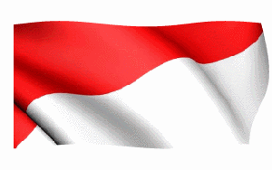 Detail Foto Bendera Indonesia Bergerak Nomer 21