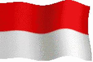 Detail Foto Bendera Indonesia Bergerak Nomer 9