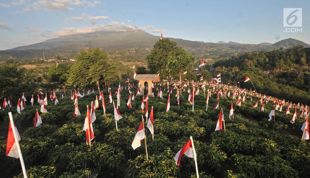 Detail Foto Bendera Indonesia Berkibar Nomer 35