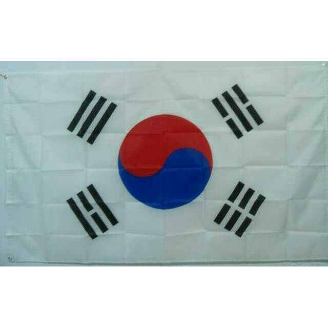 Detail Foto Bendera Korea Selatan Nomer 33