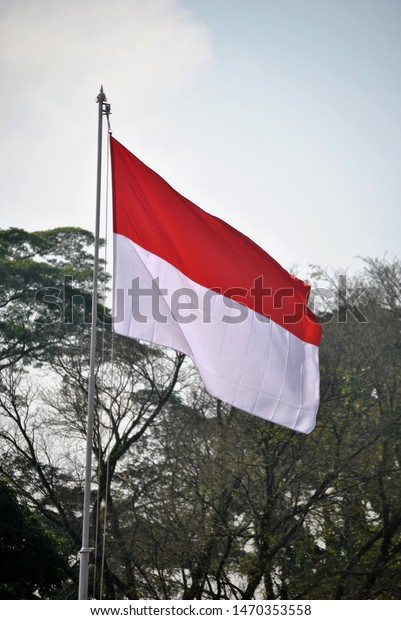 Detail Foto Bendera Merah Putih Berkibar Nomer 2