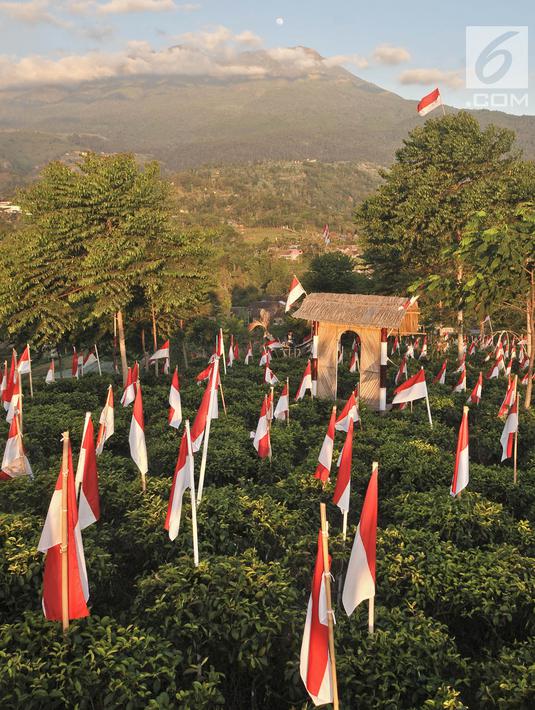 Detail Foto Bendera Merah Putih Berkibar Nomer 43