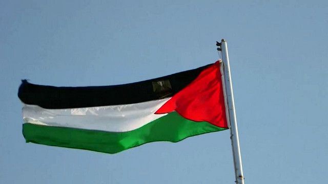 Detail Foto Bendera Palestina Nomer 52