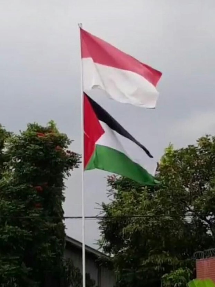 Detail Foto Bendera Palestina Dan Indonesia Nomer 11